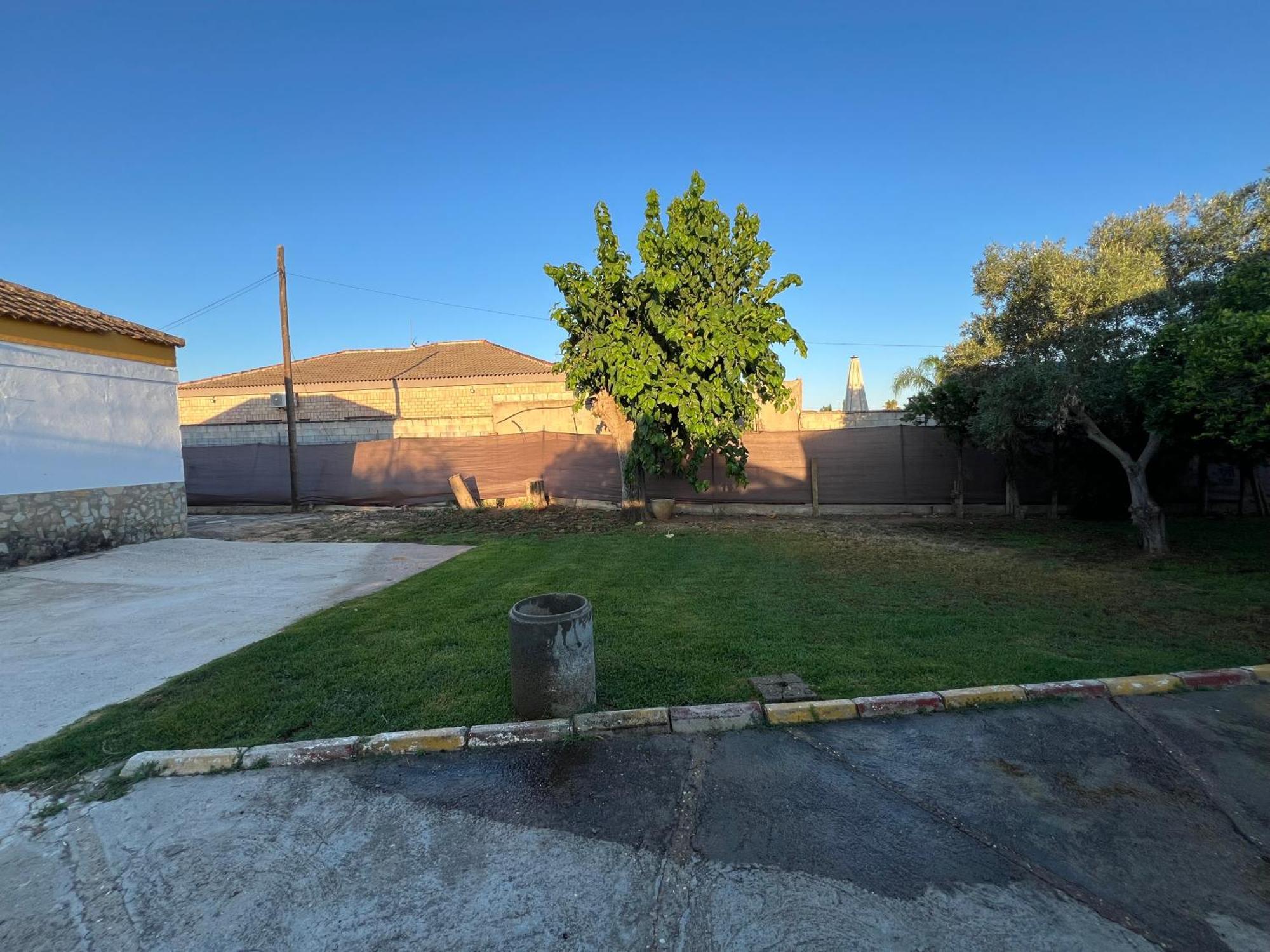 Chalet Piscina Jakuzzi Sevilla Hacienda de Tarazona Kültér fotó