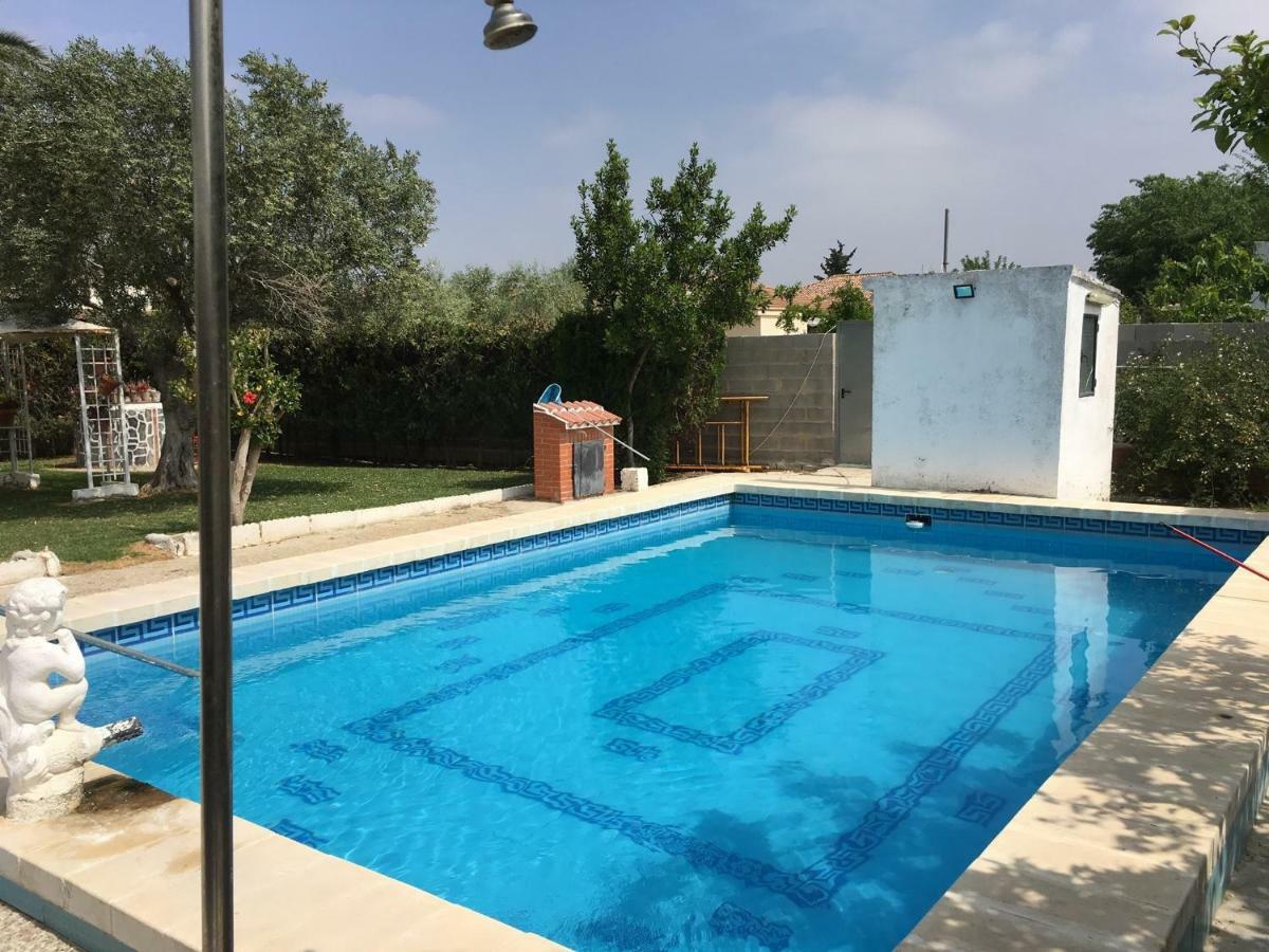 Chalet Piscina Jakuzzi Sevilla Hacienda de Tarazona Kültér fotó